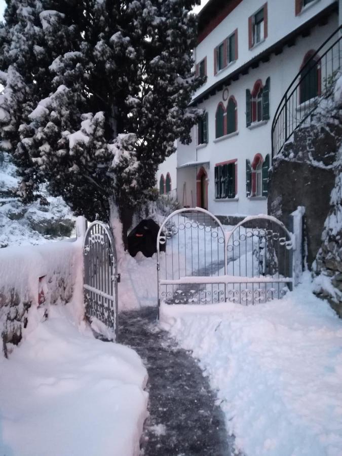 Garden Belvedere B&B Torbole Sul Garda Exterior foto